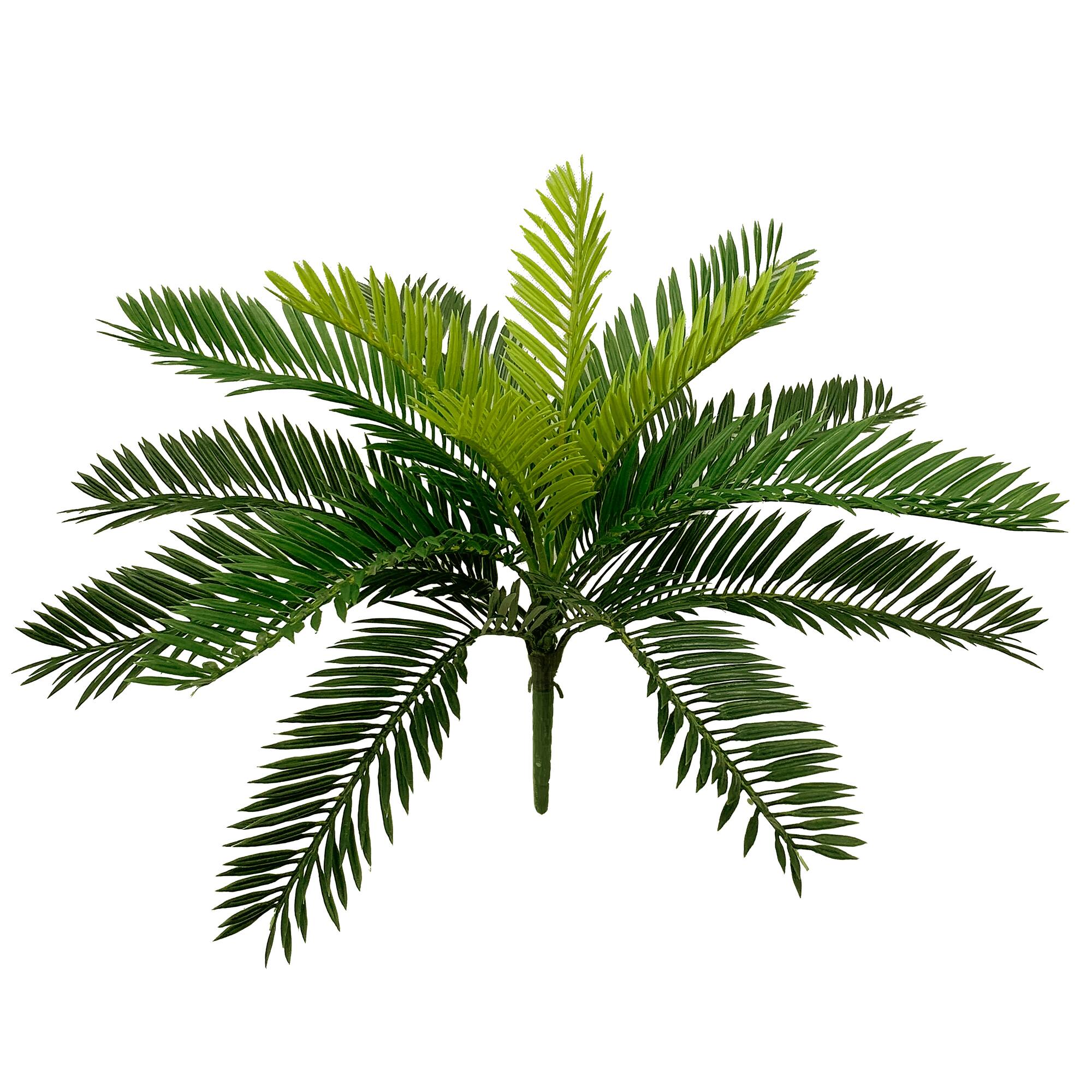 15.75" Green Cycas Palm Bush by Ashland®